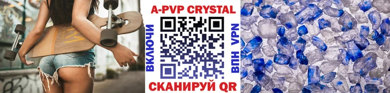 A PVP СК Кингисепп