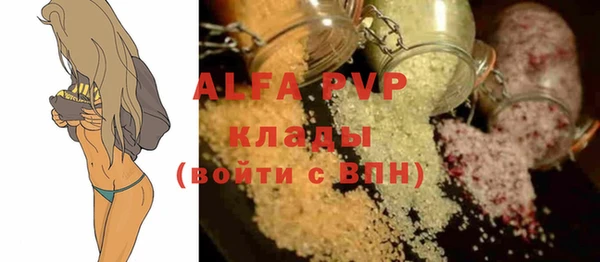ПСИЛОЦИБИНОВЫЕ ГРИБЫ Инта