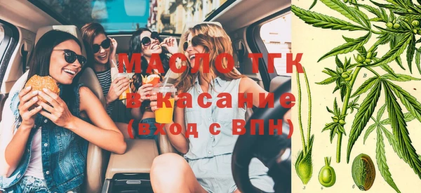 ПСИЛОЦИБИНОВЫЕ ГРИБЫ Инта