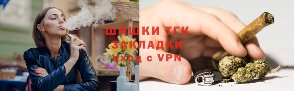 ПСИЛОЦИБИНОВЫЕ ГРИБЫ Инта
