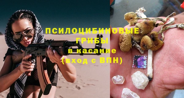 ПСИЛОЦИБИНОВЫЕ ГРИБЫ Инта
