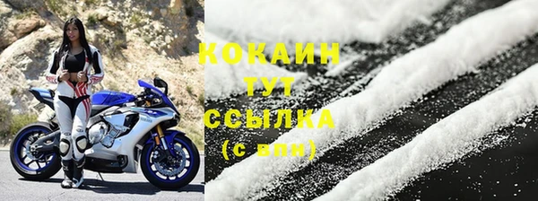 ПСИЛОЦИБИНОВЫЕ ГРИБЫ Инта