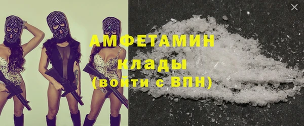 ПСИЛОЦИБИНОВЫЕ ГРИБЫ Инта