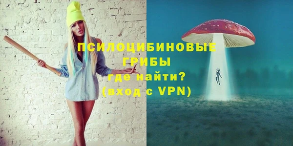 бутират Инсар