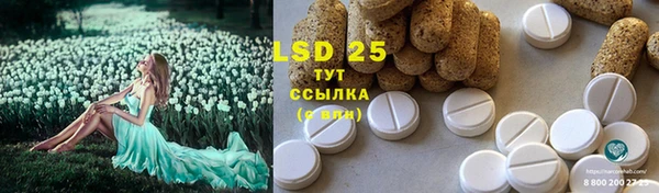 ПСИЛОЦИБИНОВЫЕ ГРИБЫ Инта