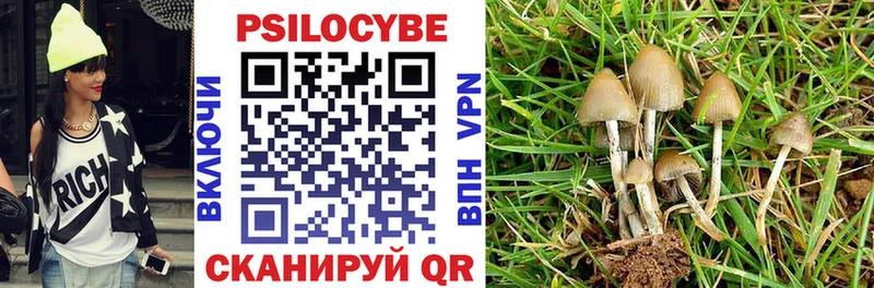 Купить где  Кингисепп  Галлюциногенные грибы Magic Shrooms 